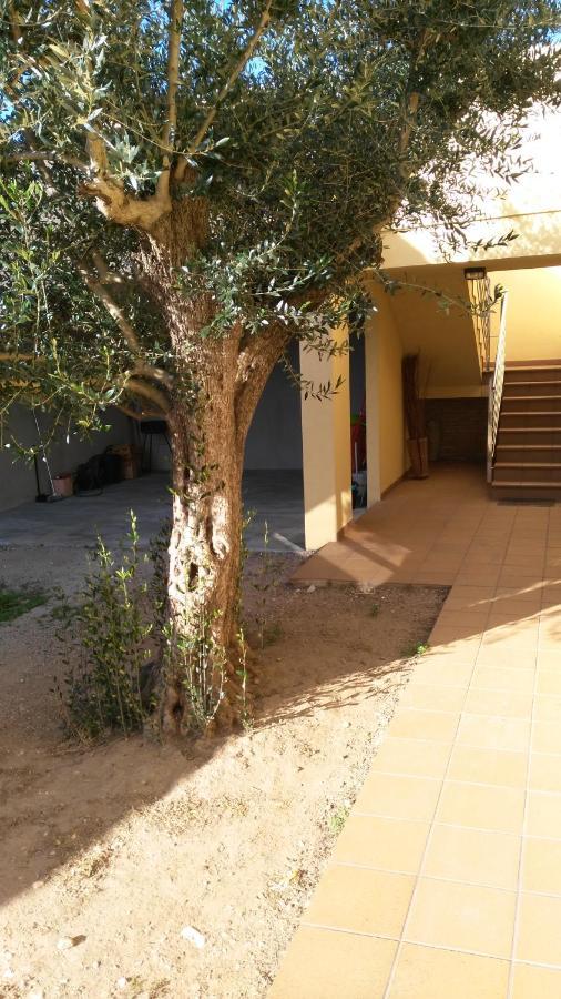La Pallissa 9 * Torroella de Montgrí